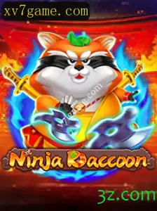 Descubra o Envolvente Mundo de NinjaRaccoon